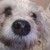 :iconsweetstrawberry44: