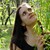 :iconsweetsunbeam: