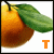 :iconsweettangerine: