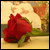 :iconswidiya:
