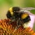 :iconSwift-Photos: