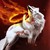:iconswiftbreeze118: