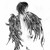 :iconswiftical: