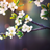 :iconswiklander: