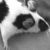 :iconswimingnanacidpool: