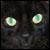 :iconswimming-fish:
