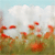 :iconswingsets: