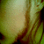 :iconswinkle: