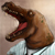 :iconswisink: