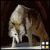 :iconswisswolf: