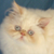 :iconswoonstarrynights: