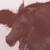:iconswordfish16:
