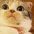 :iconswordfish244: