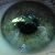 :iconswordfishking: