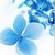 :iconswordgirl-amy: