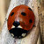 :iconswpjenkins: