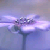 :iconswtdreamergrl16: