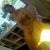 :iconsxc-kitty91: