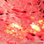 :iconsydpc: