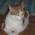 :iconsykx: