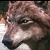 :iconsylnor22: