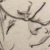 sylvadine :iconsylvadine: