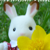 :iconsylvanianvalley: