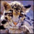 :iconsylvercatt: