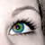 :iconsylverkitten: