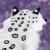 :iconsylvermyst: