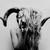 :iconsylvialeyne: