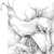:iconsylviemonthule:
