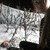 :iconsylwia25: