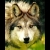 :iconsylwspartan: