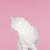 :iconsymbebekos: