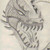 :iconsymmasris: