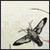 :iconsynesthesia00: