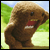 :iconsynet1c: