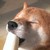 :iconsynthehunter: