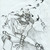 :iconsynthesized-ghost: