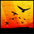 :iconsynthet: