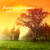 :iconsynthetic-sunrise: