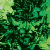 :iconsyntheticsymmetry: