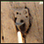 :iconsynthiag: