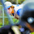 :iconsynyster-steve: