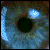:iconsyr-ex: