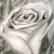 :iconsyreth: