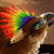 :iconsyrisburd: