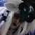 :iconsyryuss: