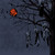 :iconsystematics: